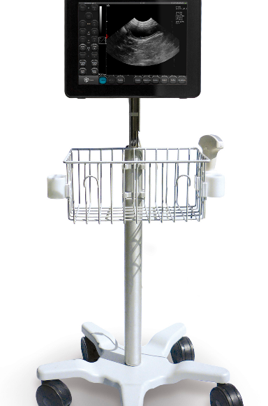 Draminski Blue Veterinary Ultrasound on Wheeled Trolley