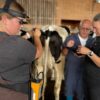 cattle pregnancy ultrasound training in Canada