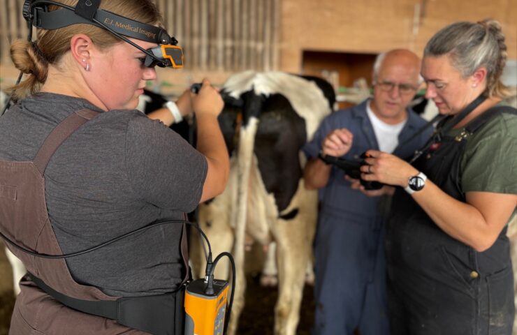 cattle pregnancy ultrasound training in Canada