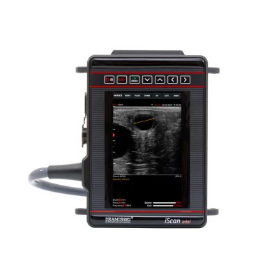 iScan Mini Ultrasound with Rectal Linear Probe