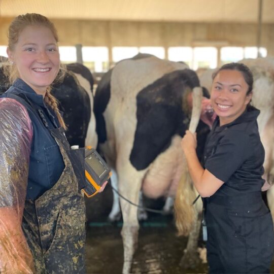 RVT and farmer cattle ultrasound training pregnancy Canada