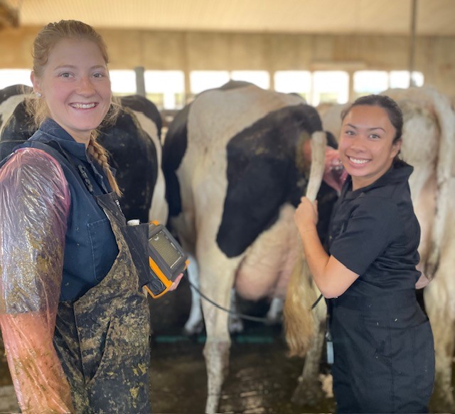 RVT and farmer cattle ultrasound training pregnancy Canada